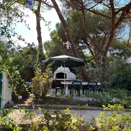 Apartment Casa Carla Casa In Pineta A 100 Mt Dalla Spiaggia *