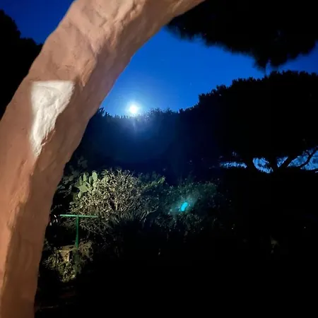 Apartment Casa Carla Casa In Pineta A 100 Mt Dalla Spiaggia
