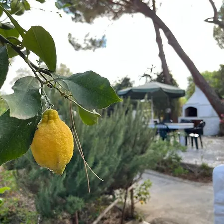 Casa Carla Casa In Pineta A 100 Mt Dalla Spiaggia Apartment *