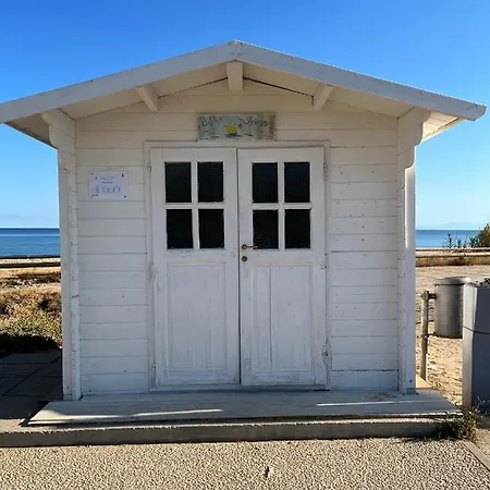 Casa Carla Casa In Pineta A 100 Mt Dalla Spiaggia